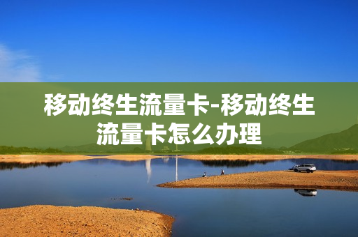 移动终生流量卡-移动终生流量卡怎么办理