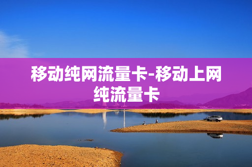 移动纯网流量卡-移动上网纯流量卡