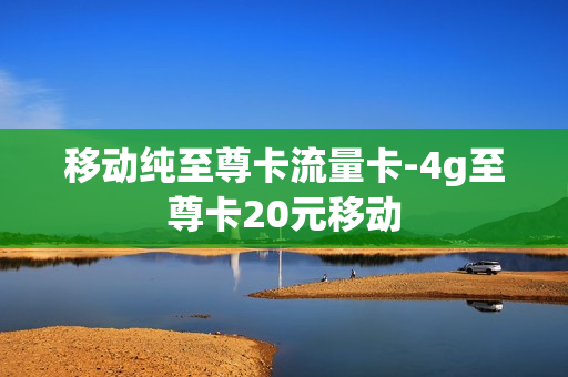 移动纯至尊卡流量卡-4g至尊卡20元移动