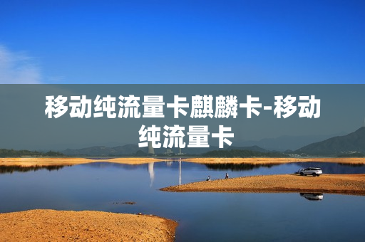 移动纯流量卡麒麟卡-移动 纯流量卡