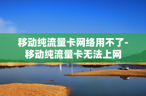 移动纯流量卡网络用不了-移动纯流量卡无法上网