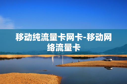 移动纯流量卡网卡-移动网络流量卡