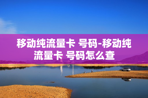移动纯流量卡 号码-移动纯流量卡 号码怎么查