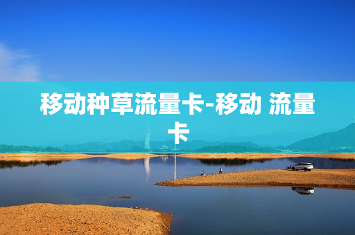 移动种草流量卡-移动 流量卡