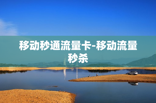 移动秒通流量卡-移动流量秒杀