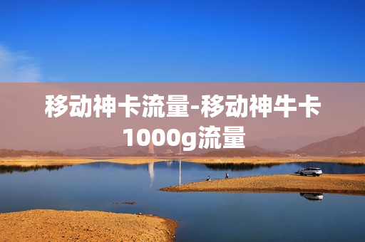 移动神卡流量-移动神牛卡1000g流量