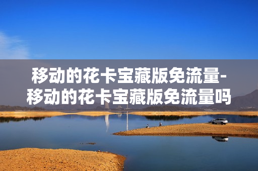 移动的花卡宝藏版免流量-移动的花卡宝藏版免流量吗