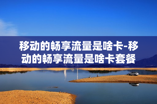 移动的畅享流量是啥卡-移动的畅享流量是啥卡套餐