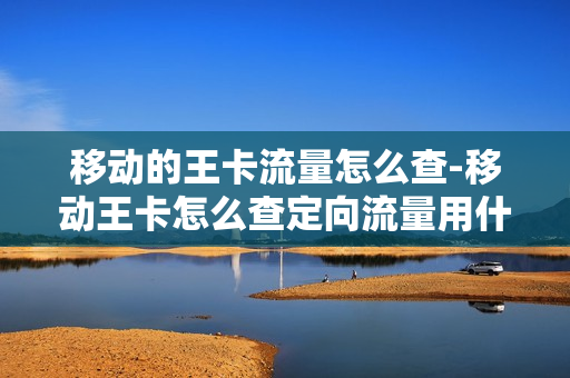 移动的王卡流量怎么查-移动王卡怎么查定向流量用什么软件