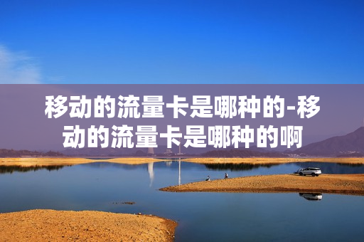 移动的流量卡是哪种的-移动的流量卡是哪种的啊
