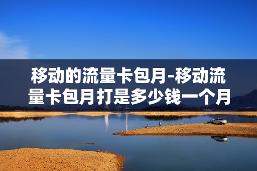 移动的流量卡包月-移动流量卡包月打是多少钱一个月