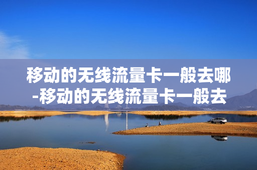 移动的无线流量卡一般去哪-移动的无线流量卡一般去哪里办