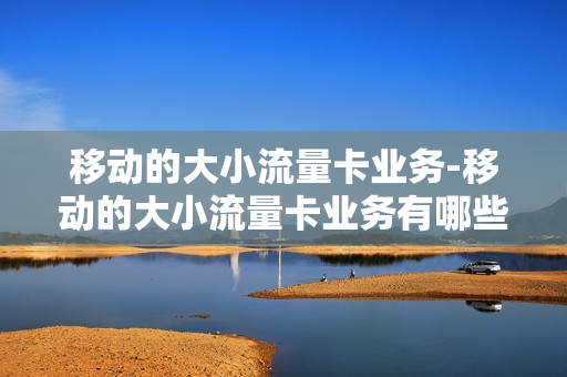 移动的大小流量卡业务-移动的大小流量卡业务有哪些