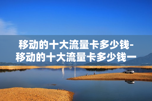 移动的十大流量卡多少钱-移动的十大流量卡多少钱一张
