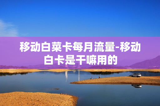 移动白菜卡每月流量-移动白卡是干嘛用的