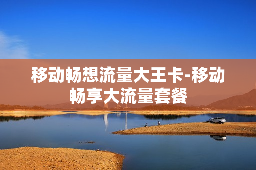 移动畅想流量大王卡-移动畅享大流量套餐