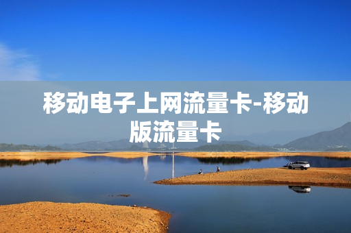 移动电子上网流量卡-移动版流量卡