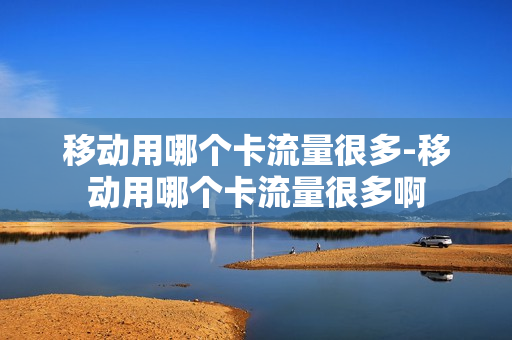 移动用哪个卡流量很多-移动用哪个卡流量很多啊