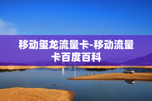 移动玺龙流量卡-移动流量卡百度百科