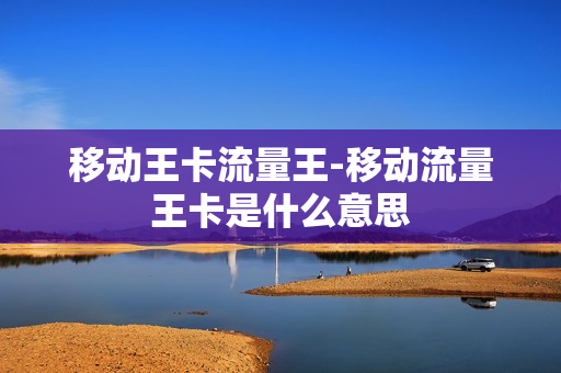 移动王卡流量王-移动流量王卡是什么意思