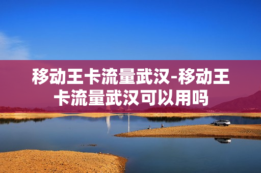移动王卡流量武汉-移动王卡流量武汉可以用吗