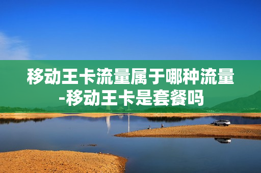 移动王卡流量属于哪种流量-移动王卡是套餐吗