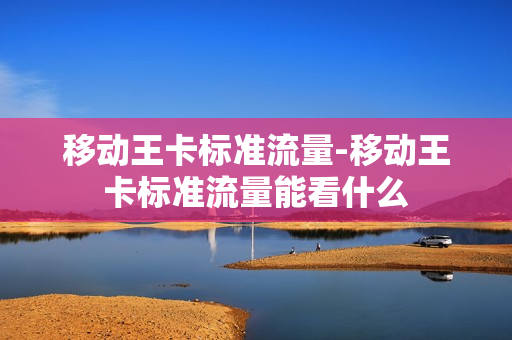 移动王卡标准流量-移动王卡标准流量能看什么