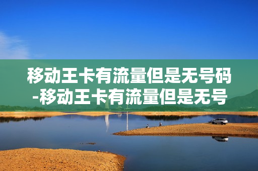 移动王卡有流量但是无号码-移动王卡有流量但是无号码怎么回事