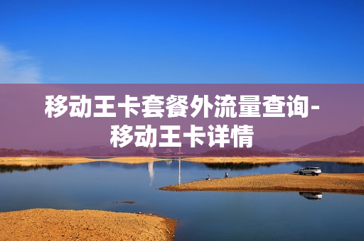 移动王卡套餐外流量查询-移动王卡详情