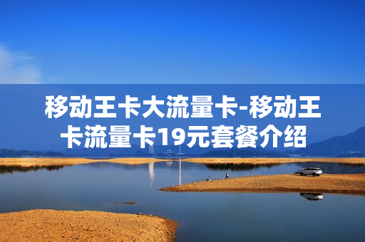 移动王卡大流量卡-移动王卡流量卡19元套餐介绍