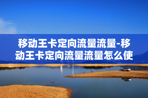 移动王卡定向流量流量-移动王卡定向流量流量怎么使用