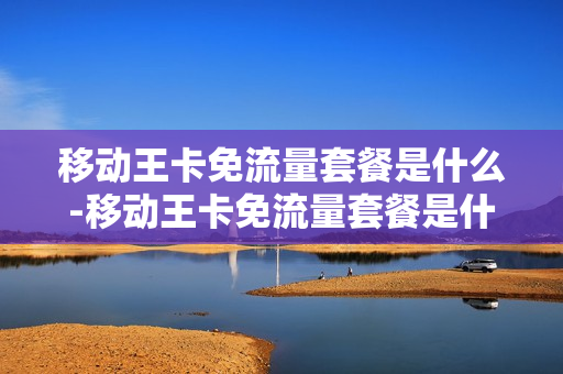 移动王卡免流量套餐是什么-移动王卡免流量套餐是什么意思