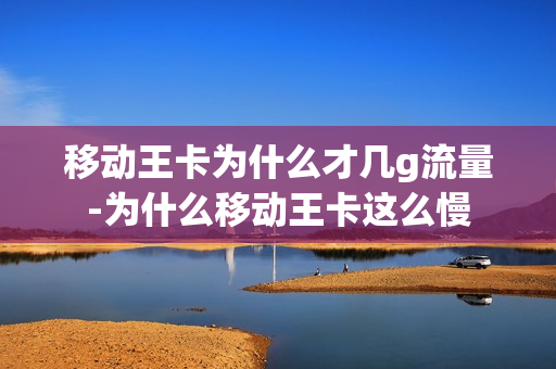 移动王卡为什么才几g流量-为什么移动王卡这么慢
