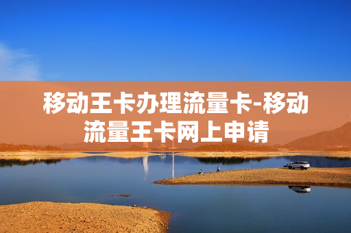 移动王卡办理流量卡-移动流量王卡网上申请