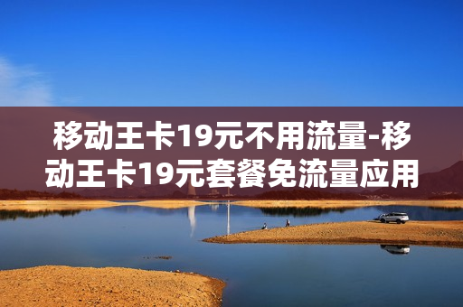 移动王卡19元不用流量-移动王卡19元套餐免流量应用有什么