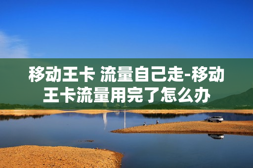 移动王卡 流量自己走-移动王卡流量用完了怎么办