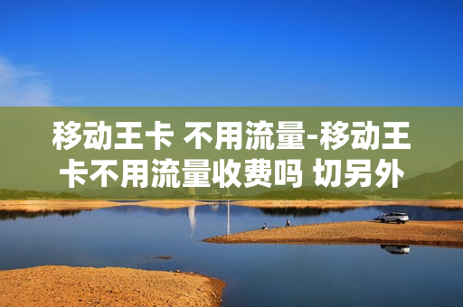 移动王卡 不用流量-移动王卡不用流量收费吗 切另外一张卡