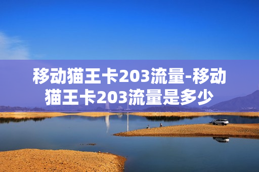 移动猫王卡203流量-移动猫王卡203流量是多少