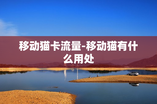 移动猫卡流量-移动猫有什么用处