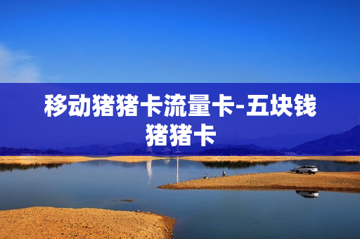 移动猪猪卡流量卡-五块钱猪猪卡