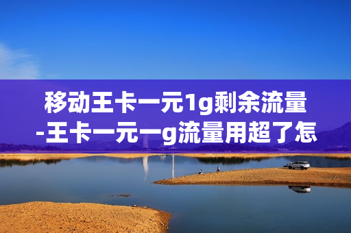 移动王卡一元1g剩余流量-王卡一元一g流量用超了怎么办