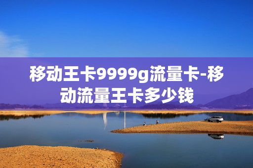 移动王卡9999g流量卡-移动流量王卡多少钱