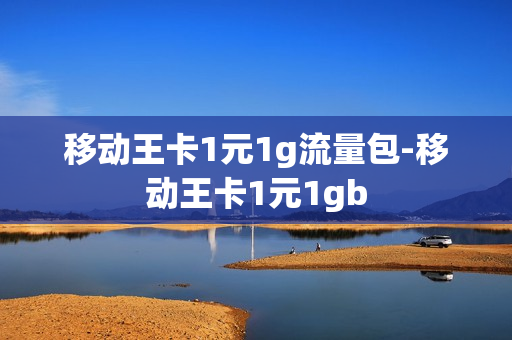 移动王卡1元1g流量包-移动王卡1元1gb