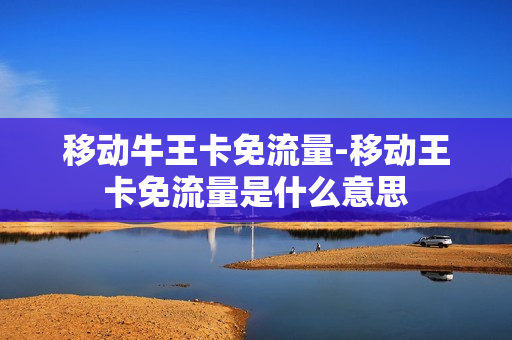 移动牛王卡免流量-移动王卡免流量是什么意思
