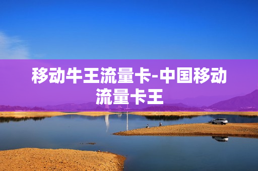 移动牛王流量卡-中国移动流量卡王