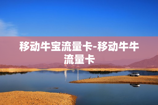 移动牛宝流量卡-移动牛牛流量卡