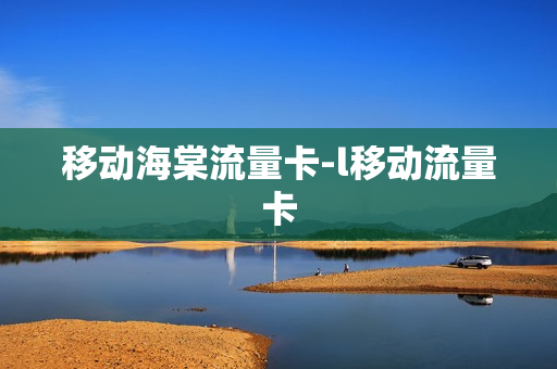 移动海棠流量卡-l移动流量卡
