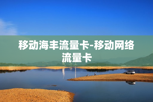 移动海丰流量卡-移动网络流量卡
