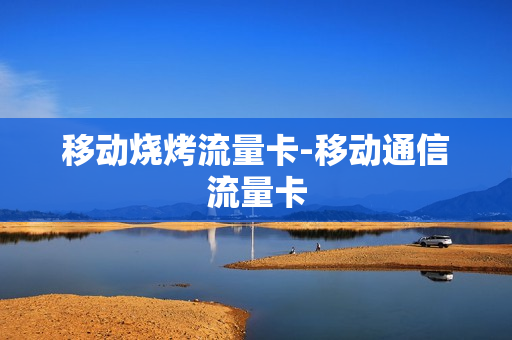移动烧烤流量卡-移动通信流量卡