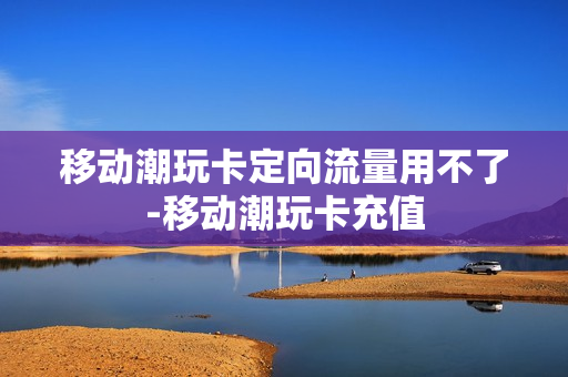 移动潮玩卡定向流量用不了-移动潮玩卡充值